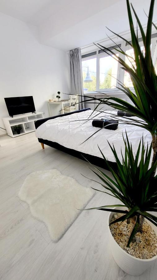 Victoriei Central Studio Apartment Bucureşti Ngoại thất bức ảnh